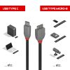 LINDY LNY-36622 :: USB 3.2 Type C to Micro-B Cable, Anthra Line, 2m