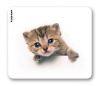 TUCANO MPDEL-163 :: Mouse pad, Kitty